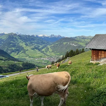 Apartment Balcony W Alpine Panorama And Free Parking *