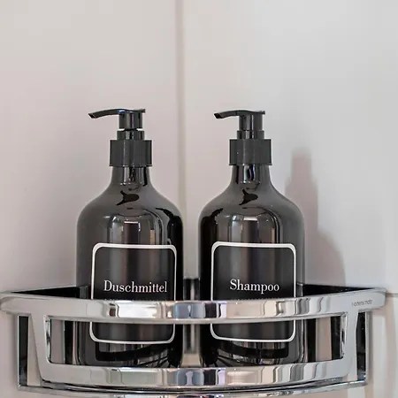 Apartment Balcony W Alpine Panorama And Free Parking